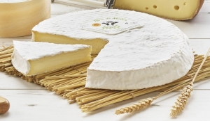producteur fromage au lait cru Bourgogne